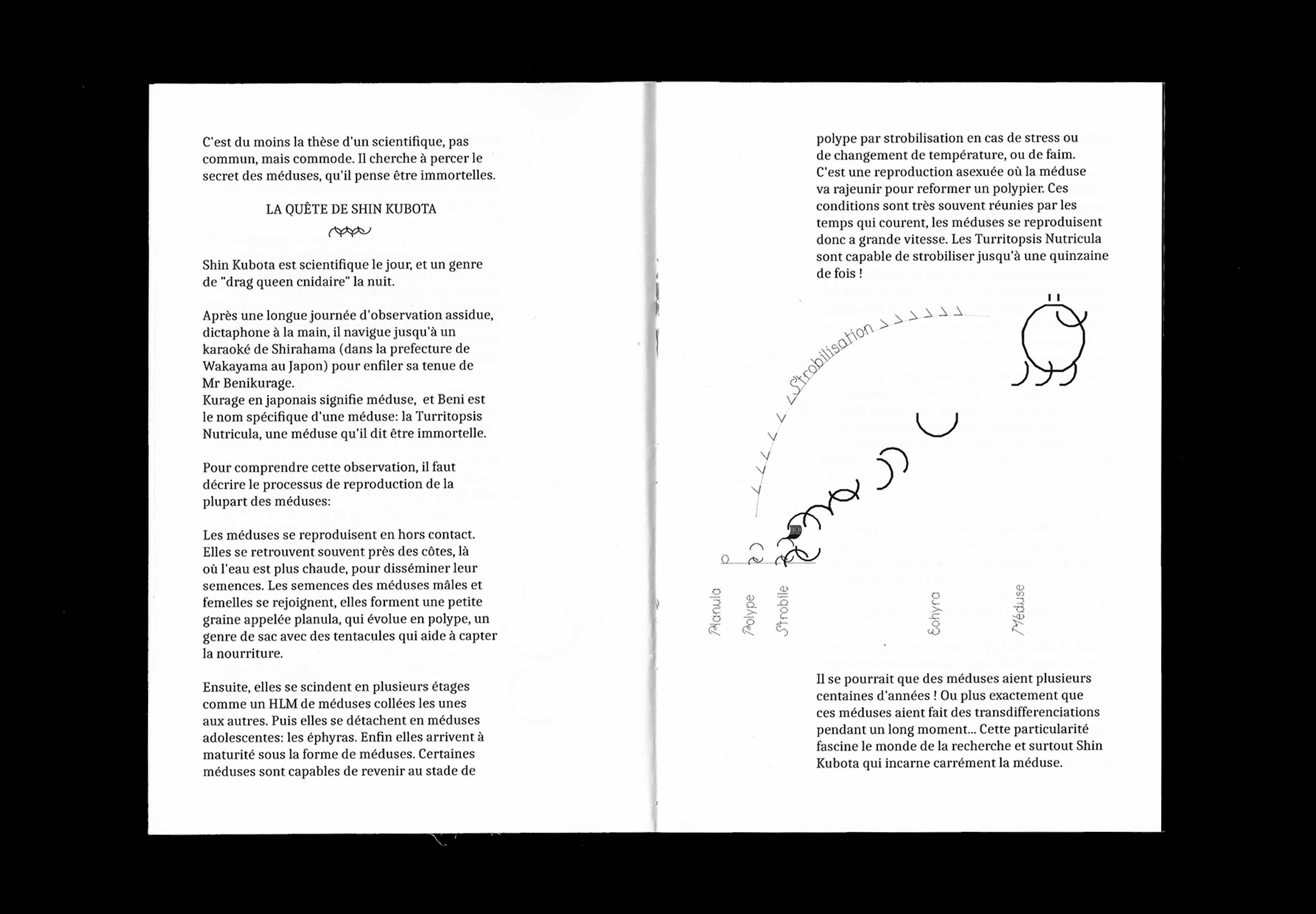 Double page du mémoire de Nino André intitulé Méduse(s) : Récits et formes de résistance