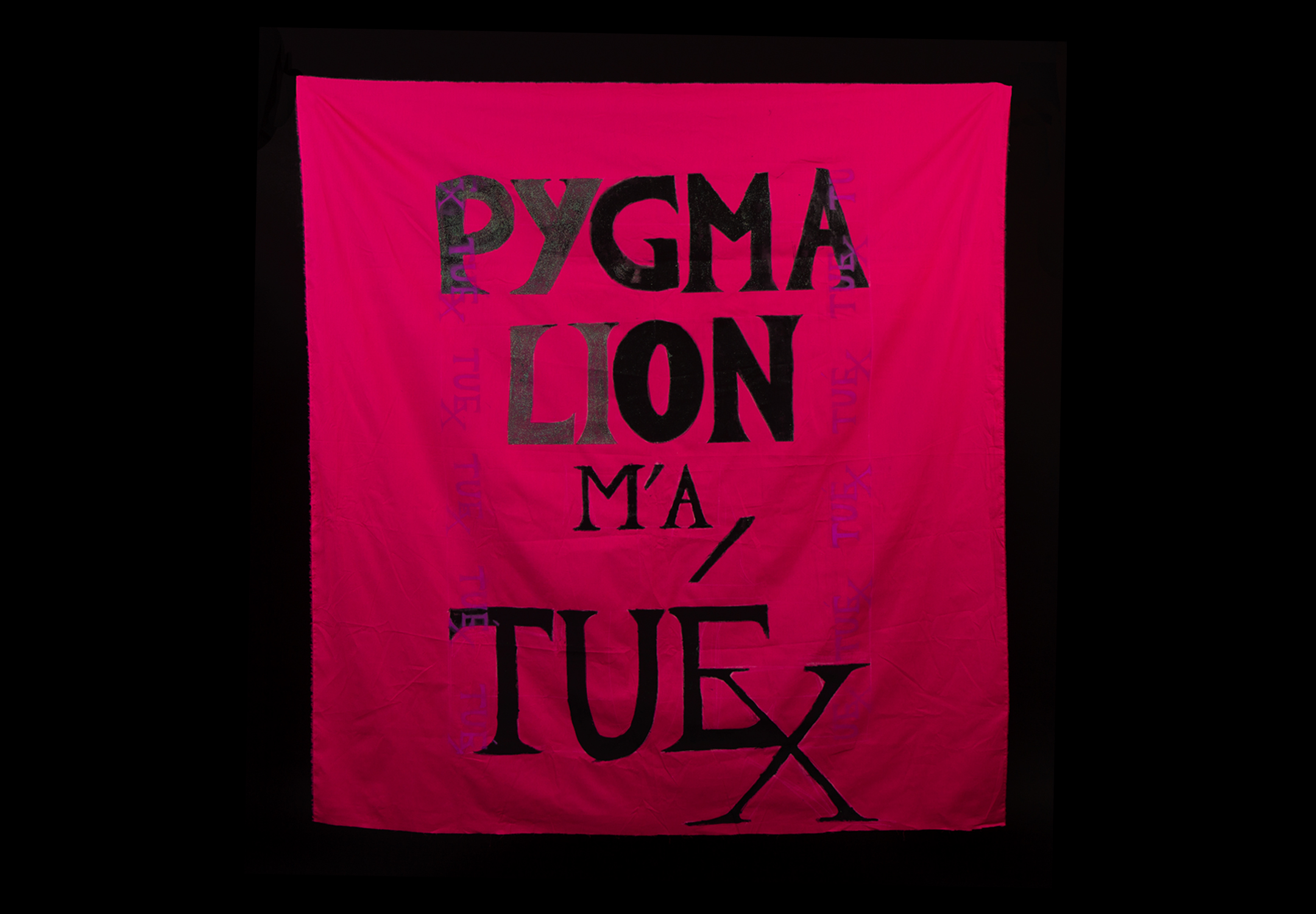 Banderole en tissu rose vif, de format carré. Sur celle-ci sont peints à l'encre noire les mots “Pygmalion m'a tuÉX". Le É et le X sont liés.