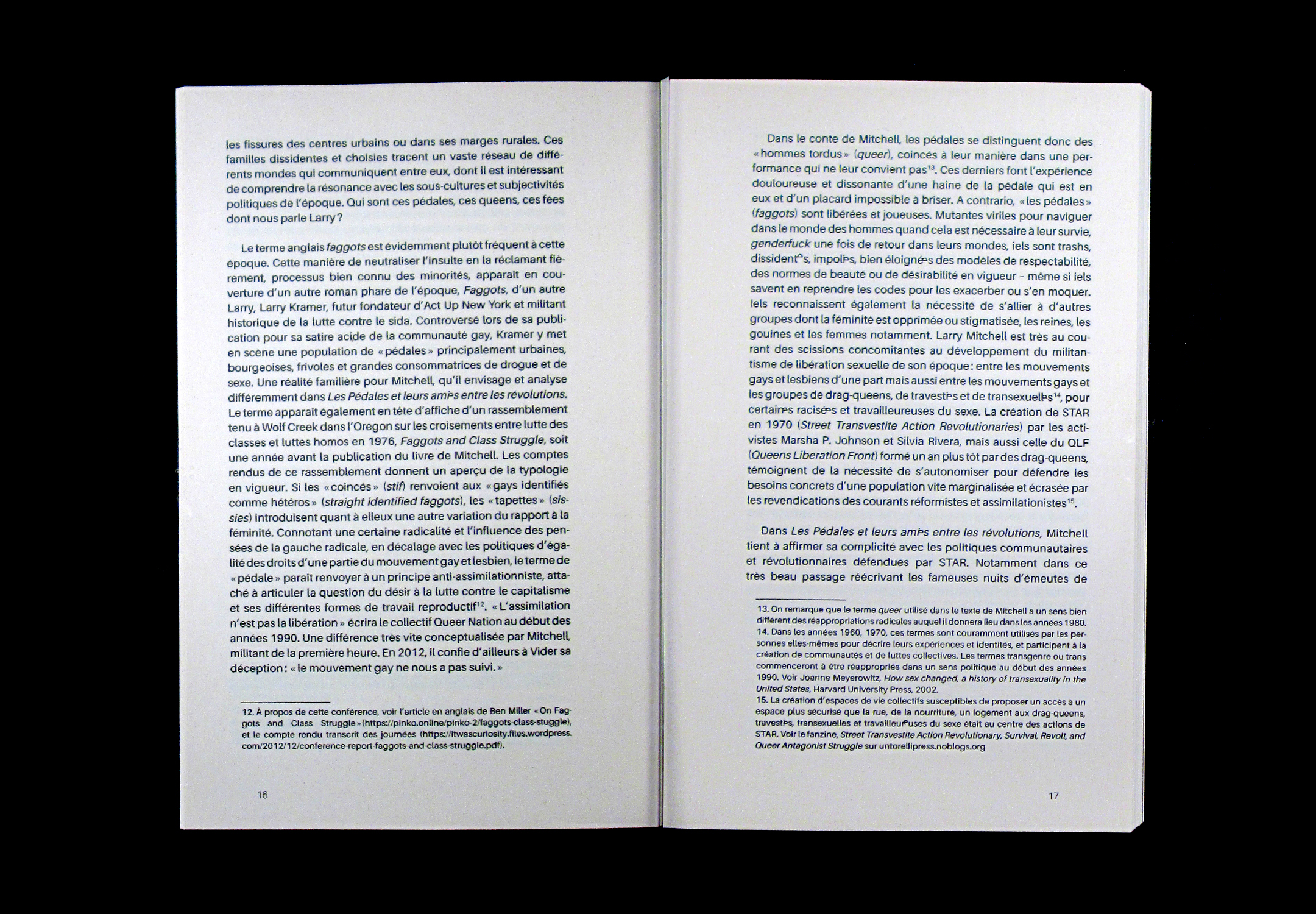Vue d'une double page de texte du livre.