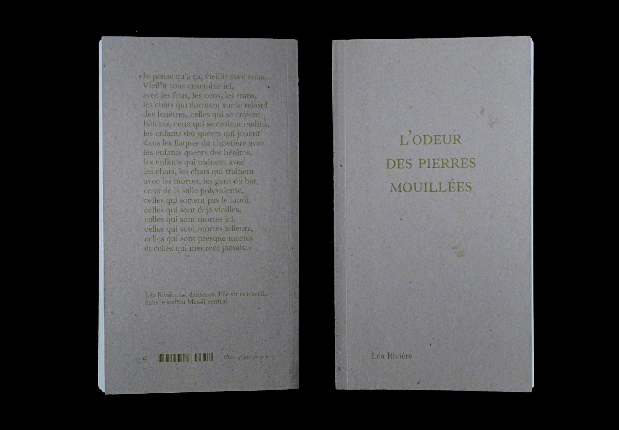 Couverture et quatrième de couverture du livre.