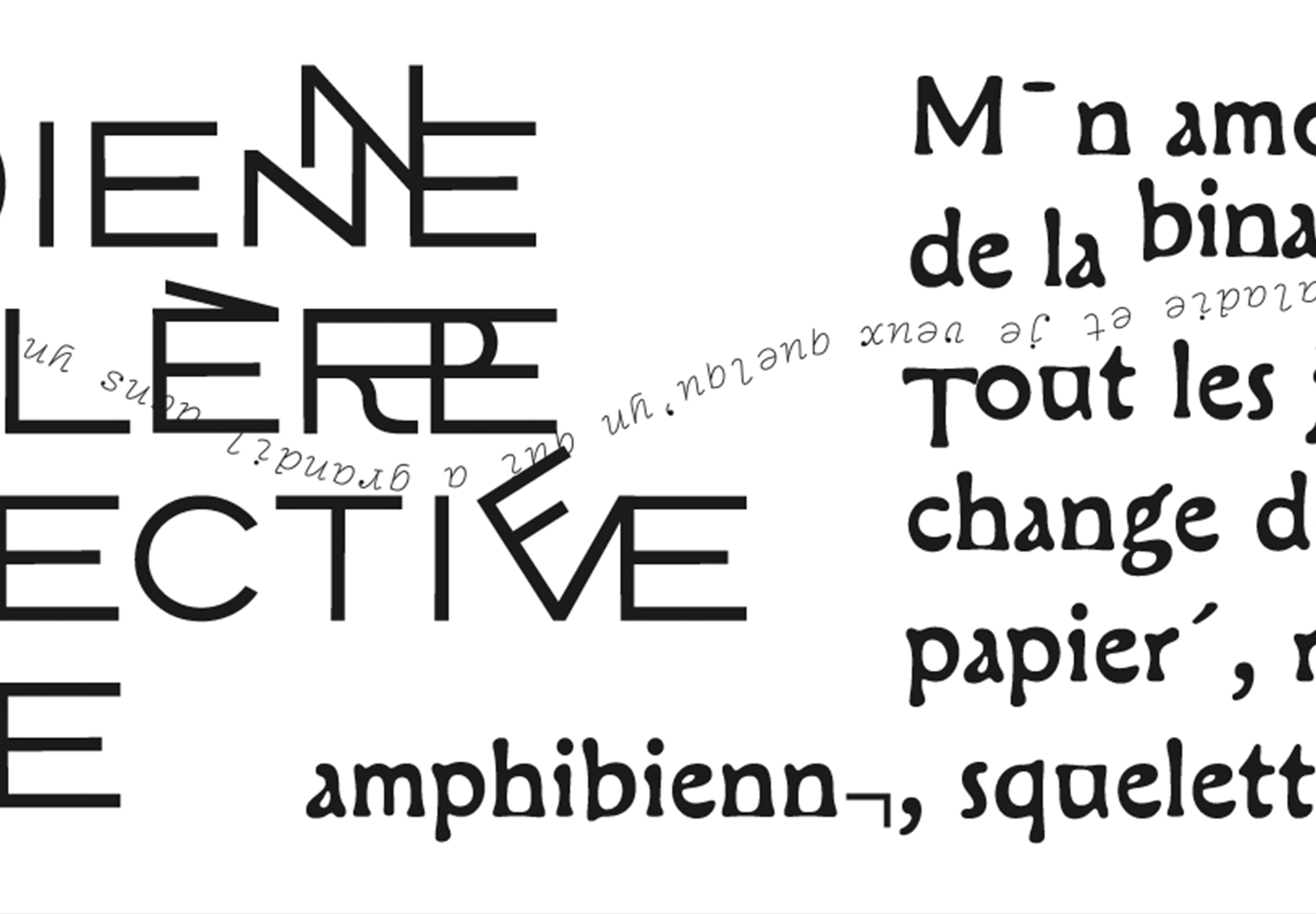 Focus sur les expérimentations typographiques