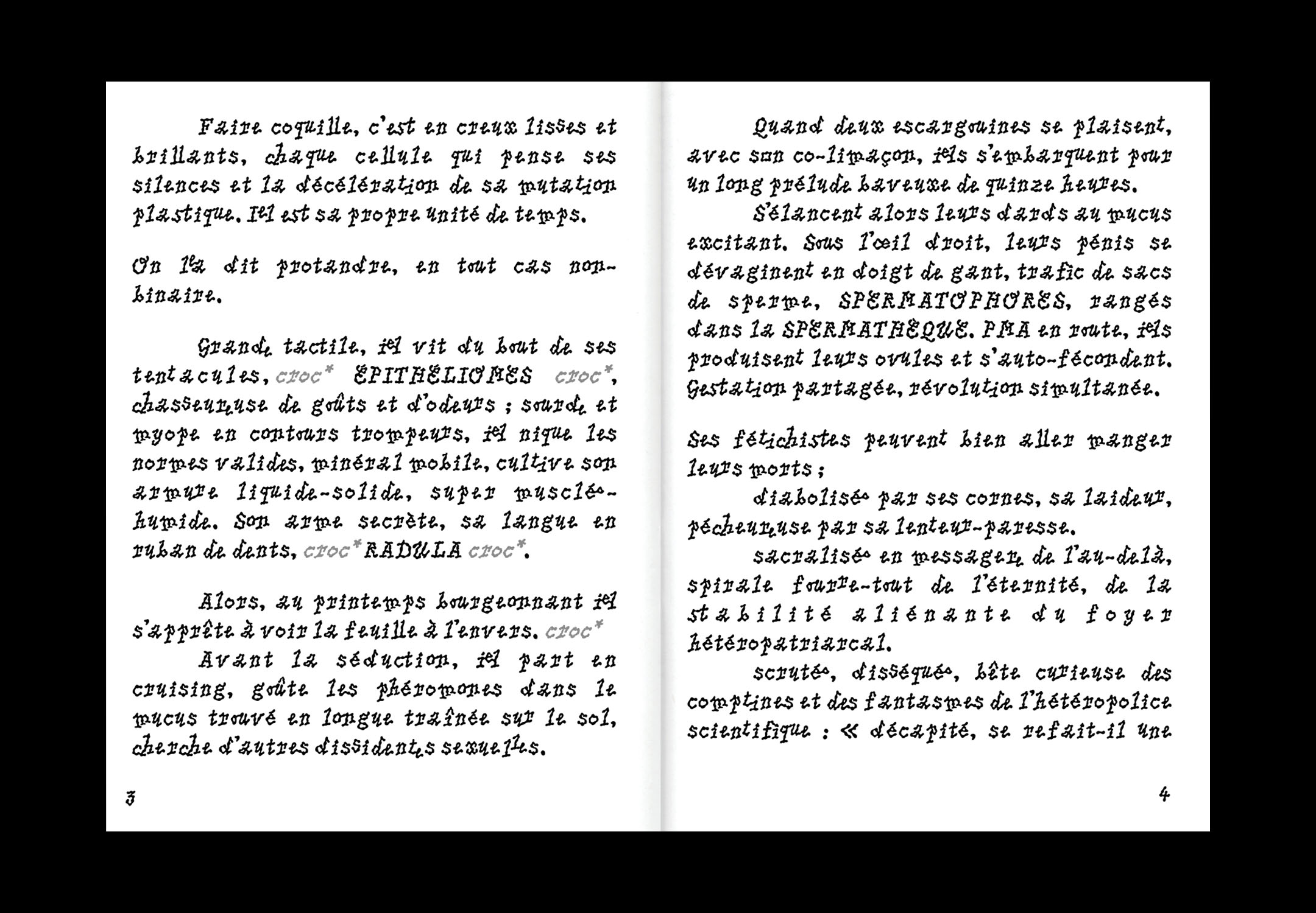 Double page de texte dans le livre